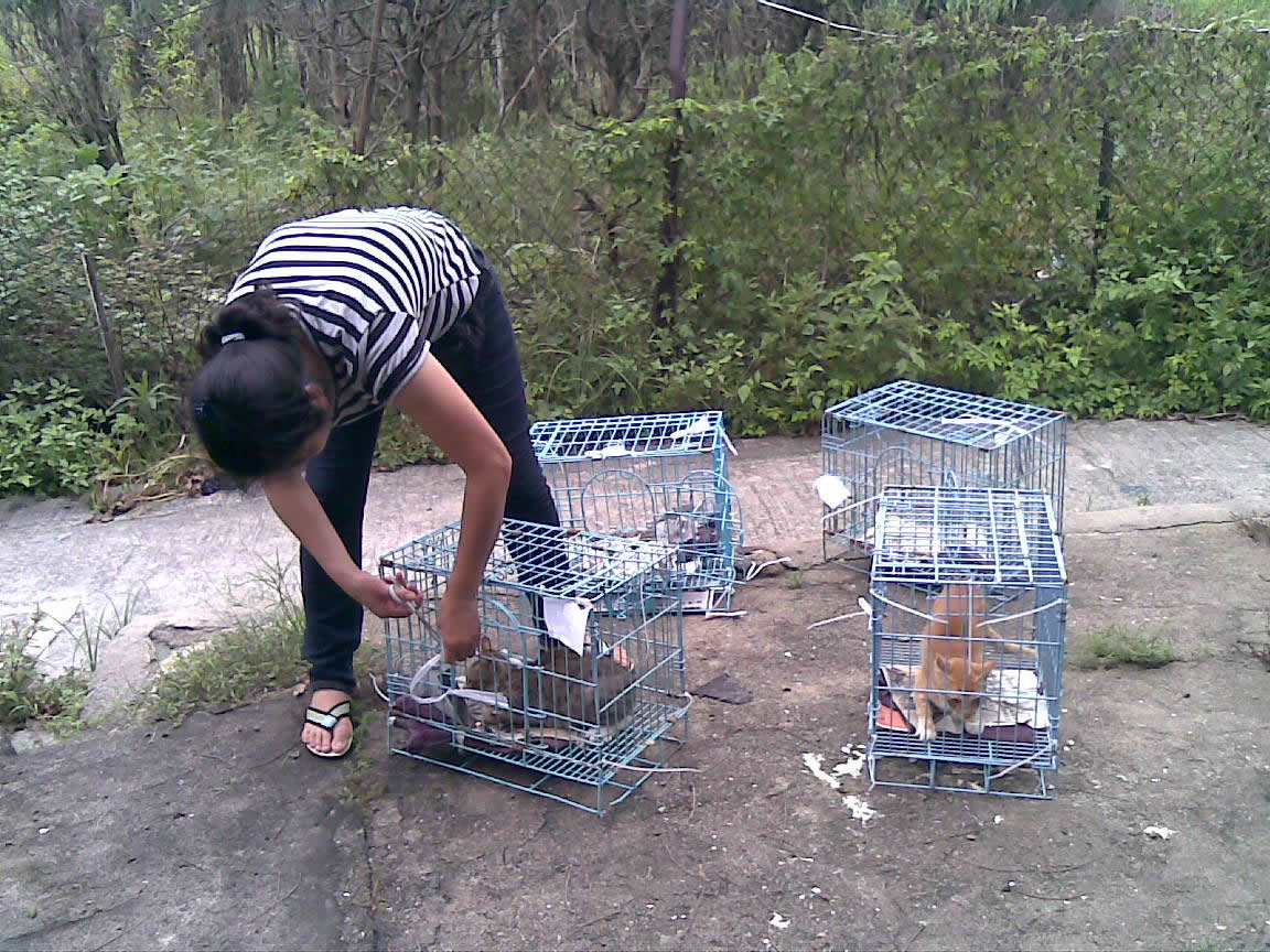 1248515492---Trapping volunteer 1.jpg 1248515492---Trapping volunteer 1.jpg